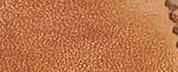 Color Tan
