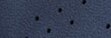 Color Navy