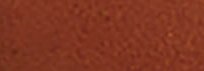 Color Cognac