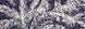 Color Navy
