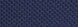 Color Navy Blazer
