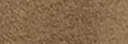 Color Camel