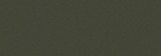 Color Olive