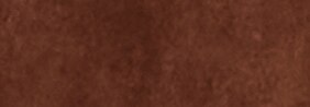 Color Camel