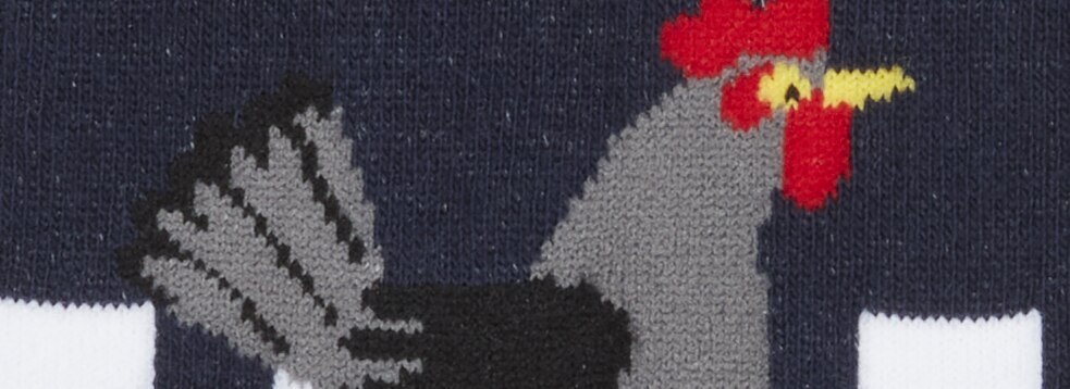 Color Xavier Navy