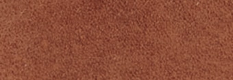 Color Tan