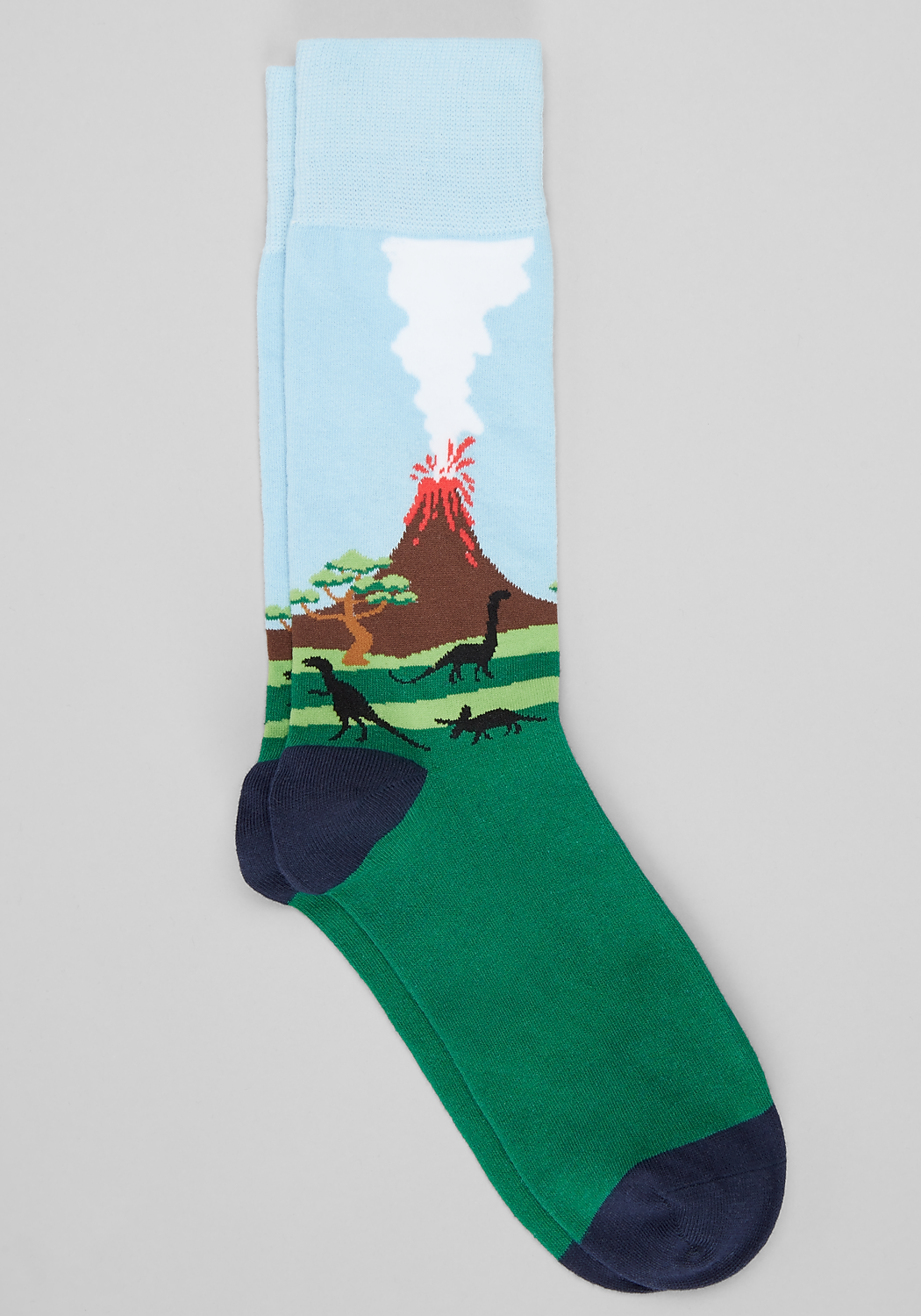 Dinosaur Scenic Socks