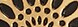 Gold/Black
