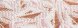 Color Light Pink