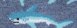 Color Denim Heather