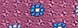 Color Fuschia