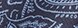 Color Navy