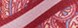 Color Burgundy