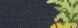 Color Navy